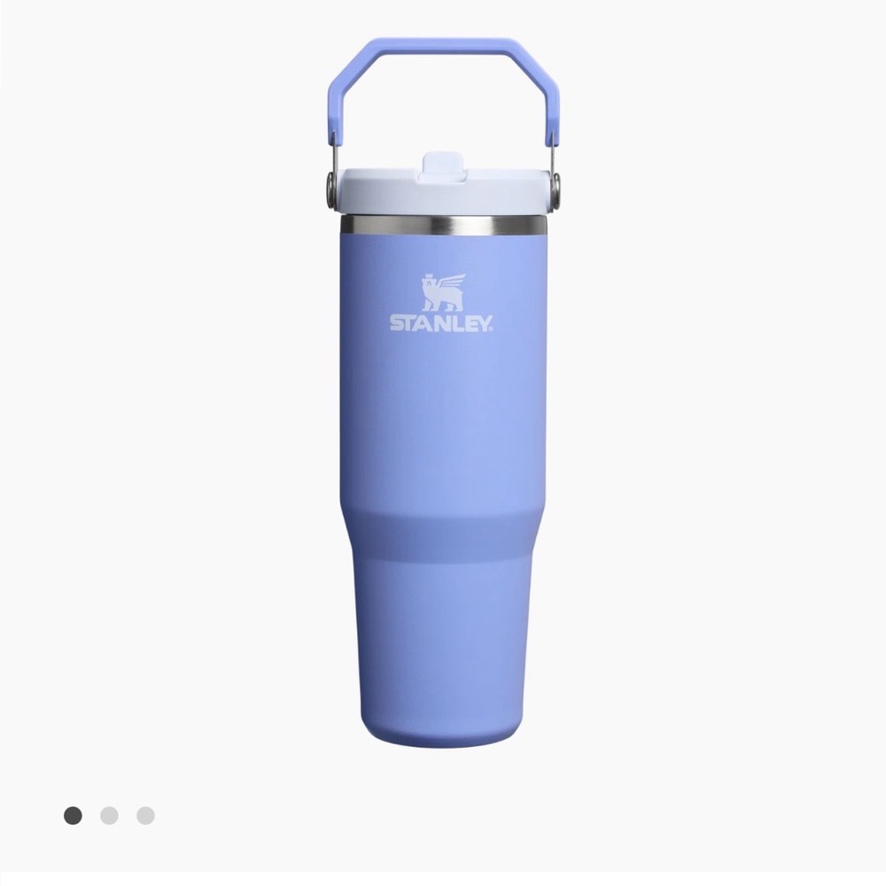 Stanley 1913 30oz Flip Straw Tumbler